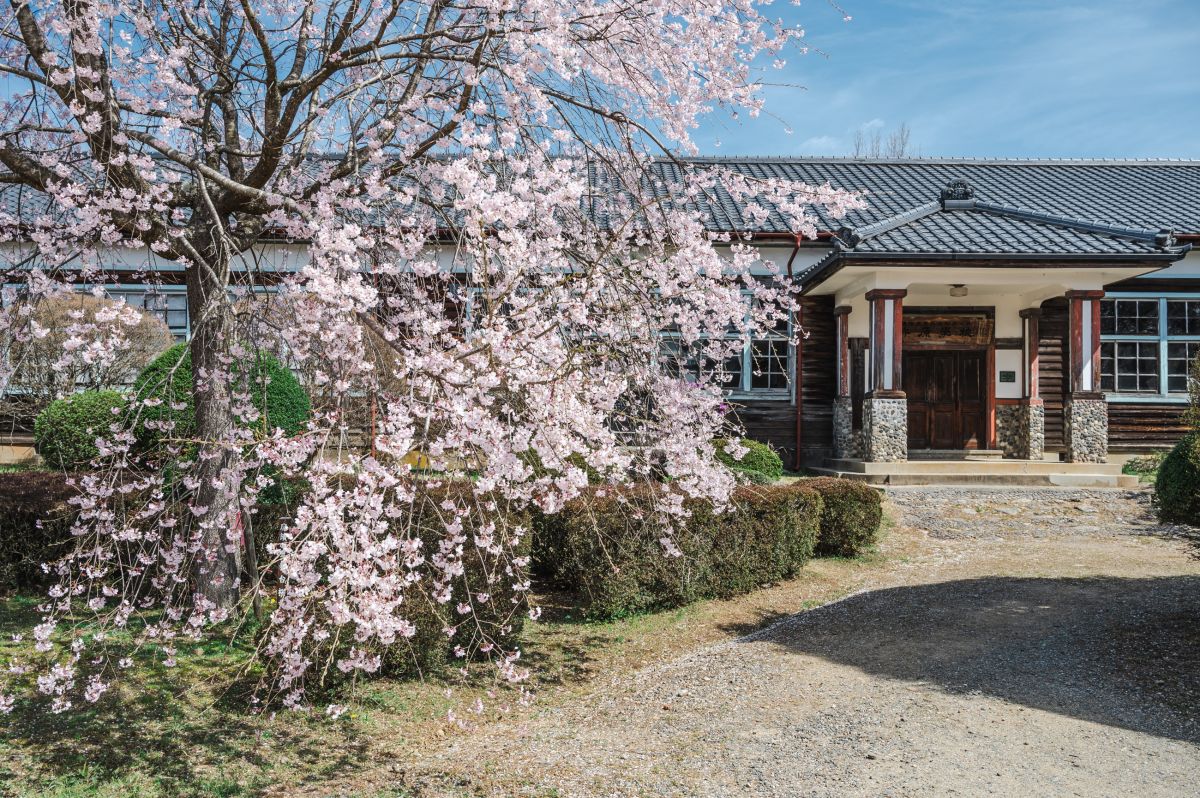 南信州の桜旅　杵原学校